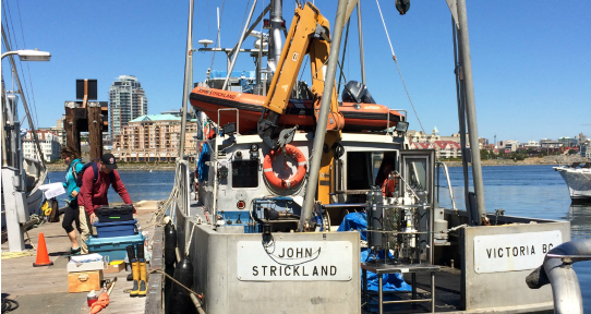 Strickland Back